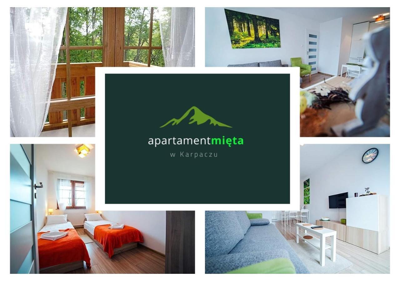Apartament Mieta Karpacz Extérieur photo